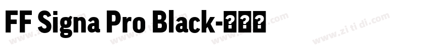 FF Signa Pro Black字体转换